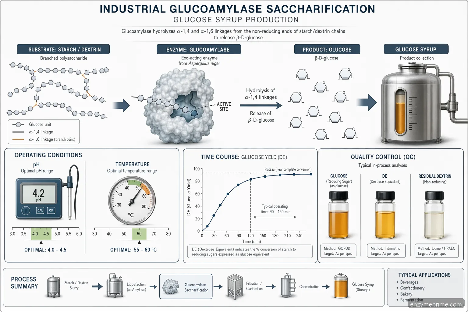 glucoamylase application saccharification diagram mapping starch chains to glucose with pH, temperature and DE controls