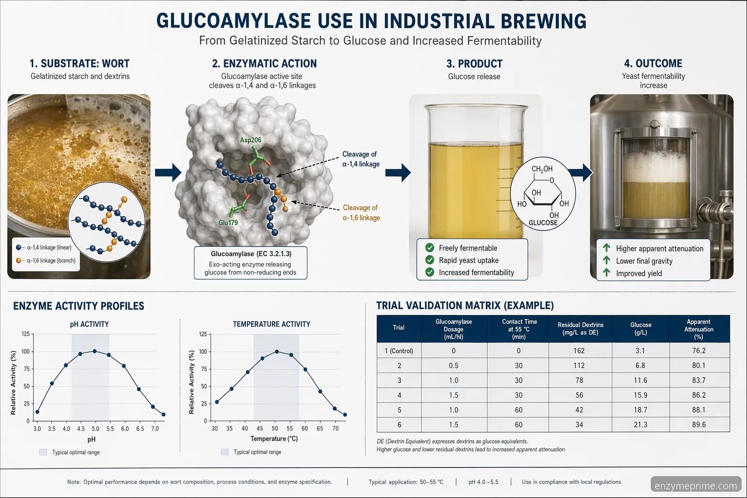 glucoamylase enzyme brewing process diagram tracing dextrin hydrolysis to glucose with pH, temperature, and validation cues
